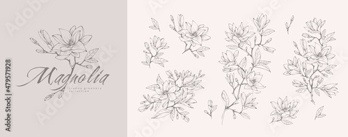 Fotografia, Obraz Magnolia flower logo and branch set