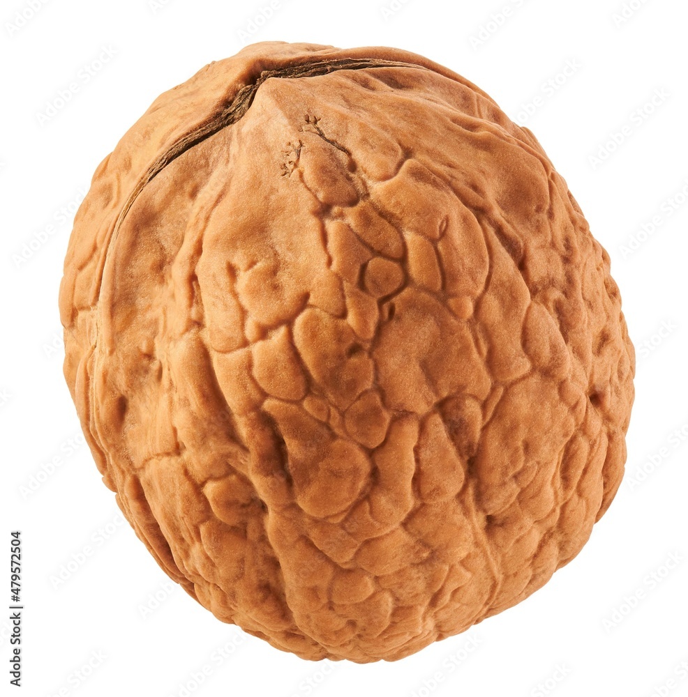 Walnut isolated on white background