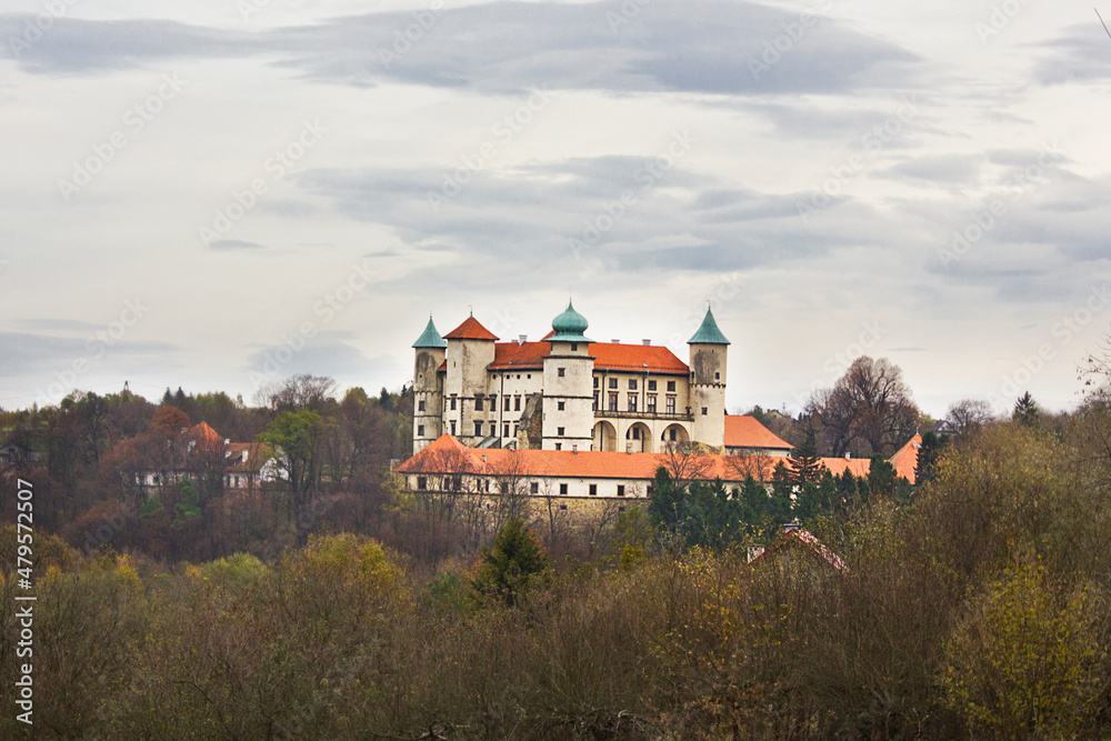 Old Polish Castle  in Nowy Visnich, Poland