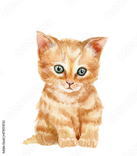 Red little kitten watercolor. Watercolor illustration of a cat. On a white background.