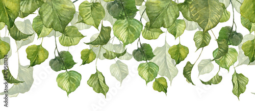 Long seamless pattern with hanging plant stem isolated on white background. Watercolor detailed realistic green leaves