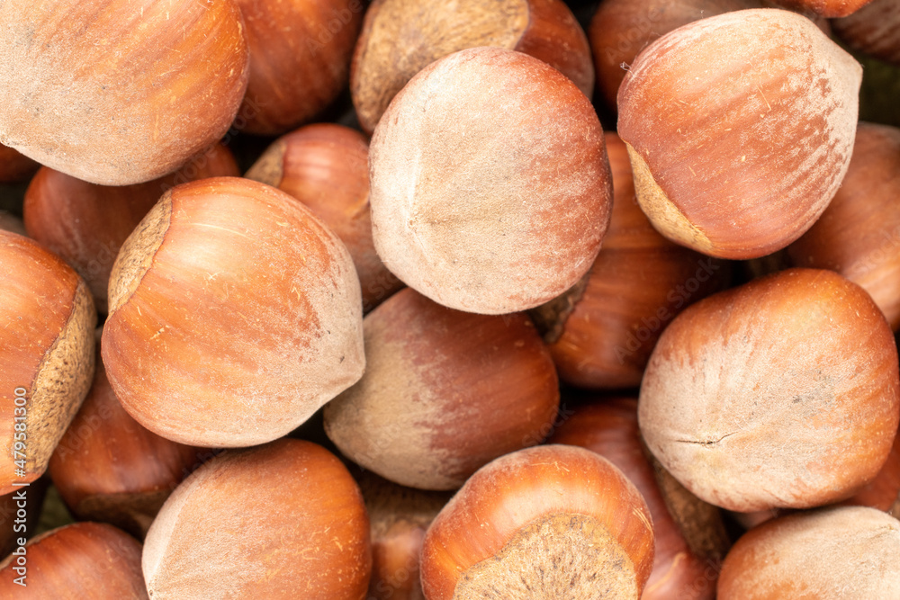 Several unpeeled hazelnuts , close-up, top view. Several unpeeled hazelnuts , close-up, top view.