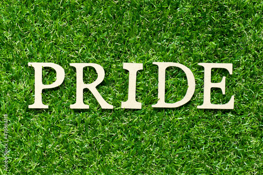 Wood letter in word pride on green grass background