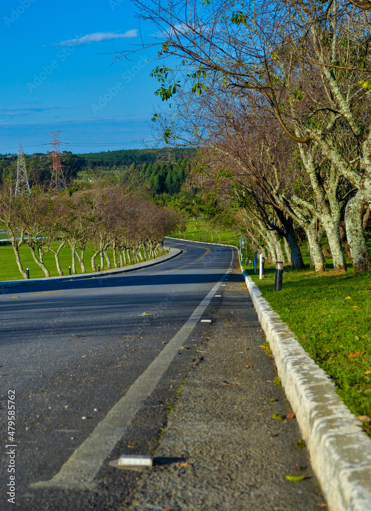 Asphalt road panorama in countryside on sunny autumn evening Asphalt road panorama in countryside on sunny autumn evening