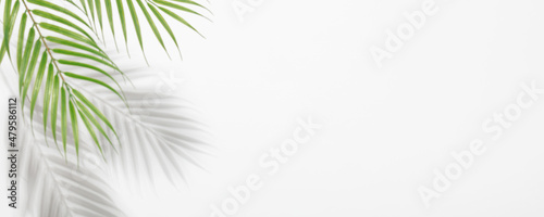 Creative layout made of colorful tropical leaves on white background