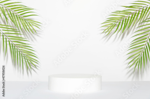 Abstract empty white podium and palm leaves on grey background. Mock up stand for product presentation. 3D Render. Minimal concept.