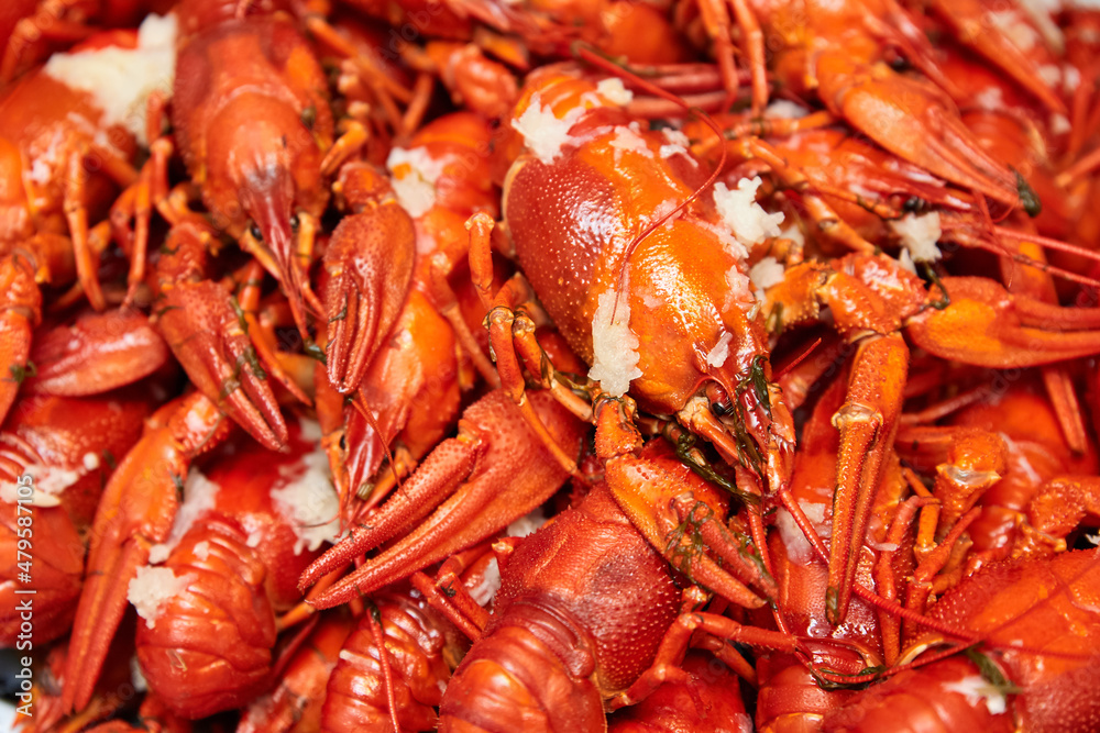 Red boiled crayfish with garlic and dill. Close-up, selective focus Red boiled crayfish with garlic and dill. Close-up, selective focus