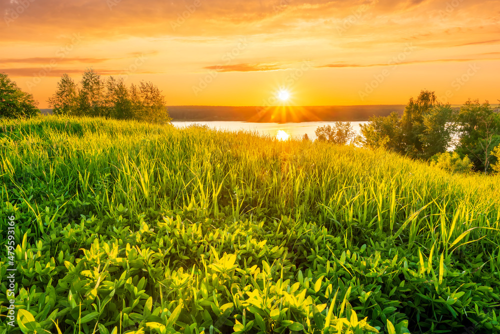 scenic view at nice landscape on a beautiful lake and colorful sunset with reflection on water with green gras on foreground and glow on a background, spring season landscape