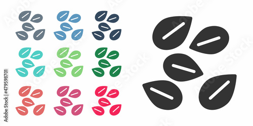 Black Seeds of a specific plant icon isolated on white background. Set icons colorful. Vector