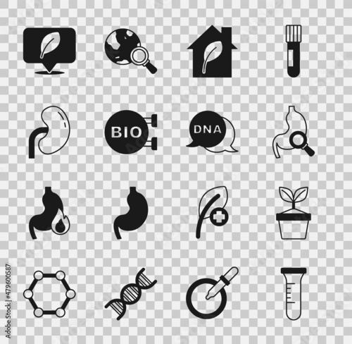 Set Test tube and flask, Plant in pot, Stomach with magnifying glass, Eco friendly house, Bio healthy food, Human kidney, Location leaf and DNA symbol icon. Vector