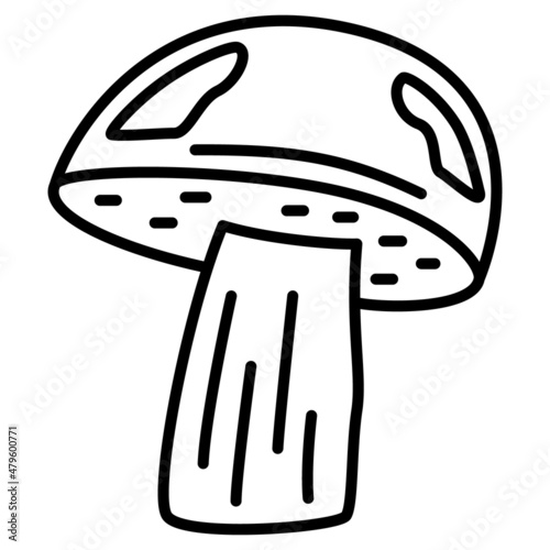 Brown cap boletus. A large forest edible mushroom for eating. Vector icon, outline, isolated