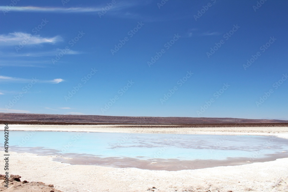 Hidden lagoons Baltinache (Lagunas Escondidas de Baltinache) Atacama Desert, Chile. South America.