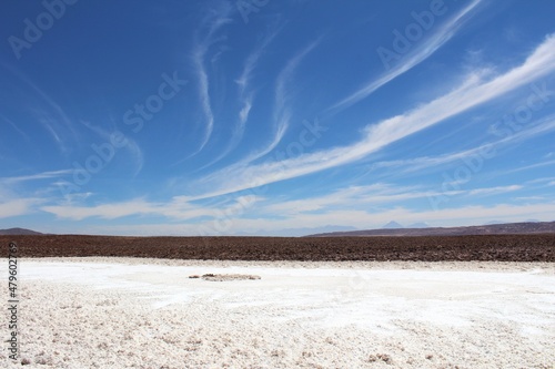 Salt flats at Hidden lagoons Baltinache (Lagunas Escondidas de Baltinache) Atacama Desert, Chile. South America.