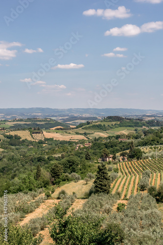 Landscape scenery of the beautiful hills  trees and fields of Tuscany  Italy 
