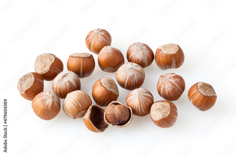 Heap of hazelnuts isolated on white background Heap of hazelnuts isolated on white background