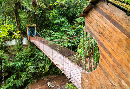 Bridge across Rio Tigre waterfall in rainforest of Oxapampa in Peru photo
