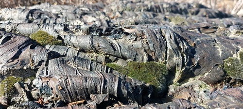 Frozen lava waves close-up. Backgrounds and textures.