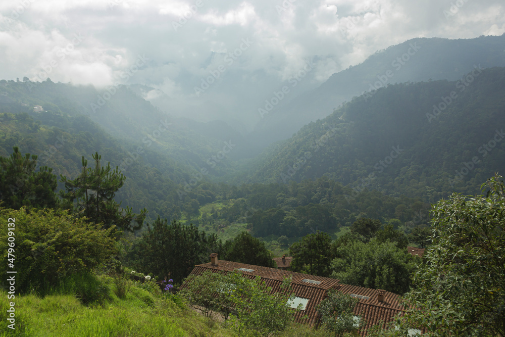 Paisaje con ligera neblina Paisaje con ligera neblina