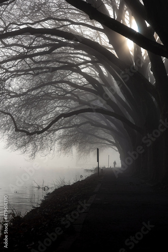 Baldeneysee bei Nebel