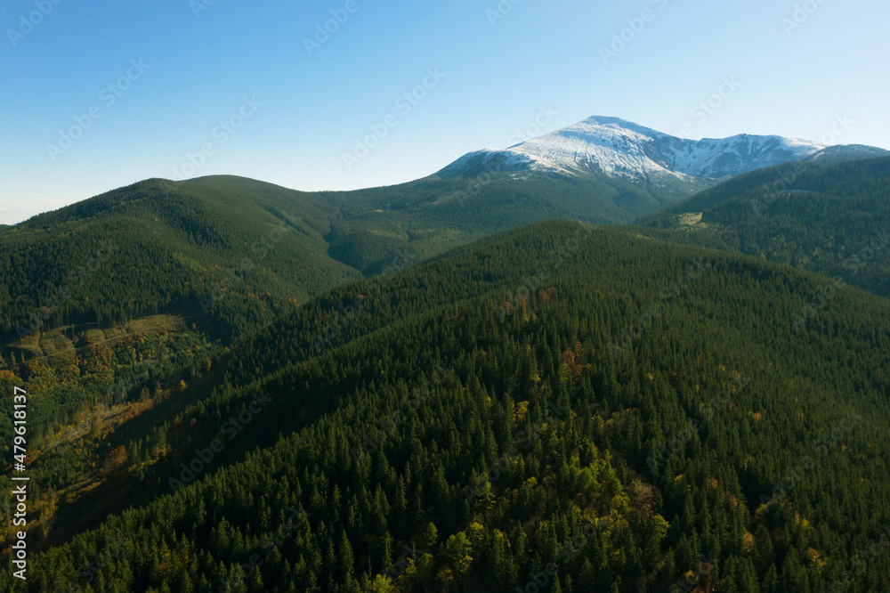 Obraz premium Beautiful mountains covered with forest on sunny day. Drone photography