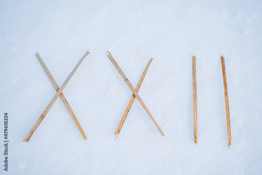 Inscription in Roman numerals in the snow. 2022, dry grass in the form of numbers. The number of the year. Abstraction.