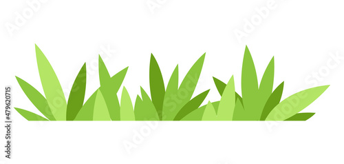 Green grass illustration. Natural image of plant for design.