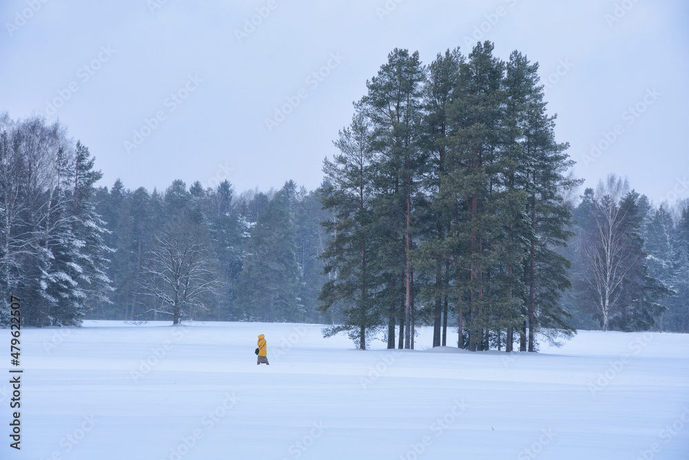Winter weather in the forest.