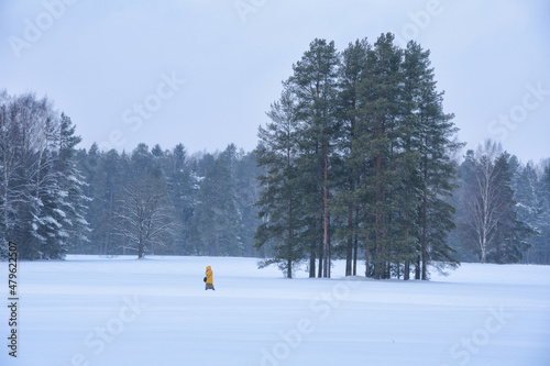 Obraz na płótnie Winter weather in the forest. w salonie