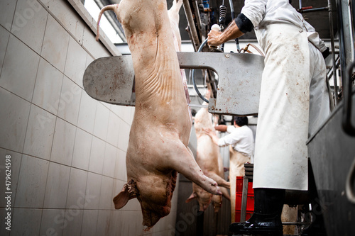 Slaughterhouse worker using saw and cutting pig meat in half. Industrial meat processing. photo