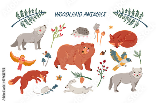 Vector set of cute woodland animals for baby shower and kids design. Collection of forest animals - bear, fox, wolf, rabbit and birds