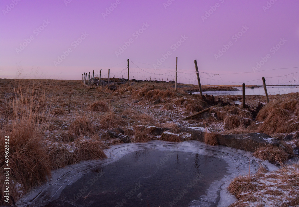 frozen lake in winter