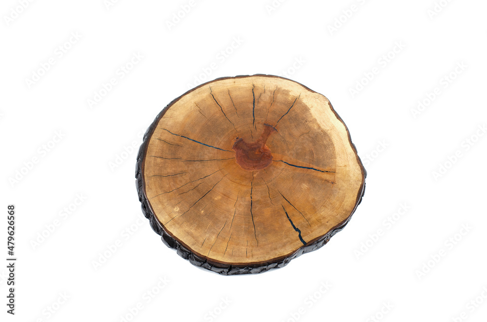 The cut is wooden. Sawed off a tree trunk. On white background. Texture - obrazy, fototapety, plakaty 