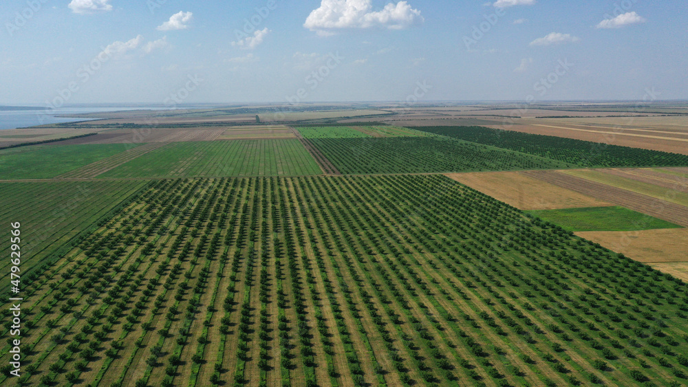 aerial view over agricultural gardens in spring time. aerial view over agricultural gardens in spring time.