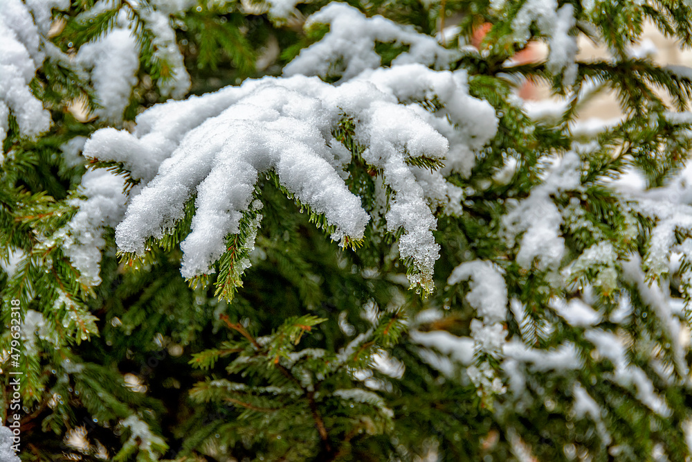 March thaw in the city with a drop and wet heavy snow.