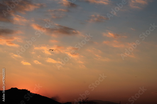 orange sunset in the sky and a seagull flies on beatiful sky