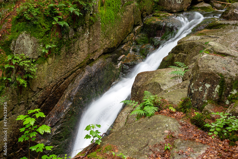 Mountain stream with stones with clear water Mountain stream with stones with clear water