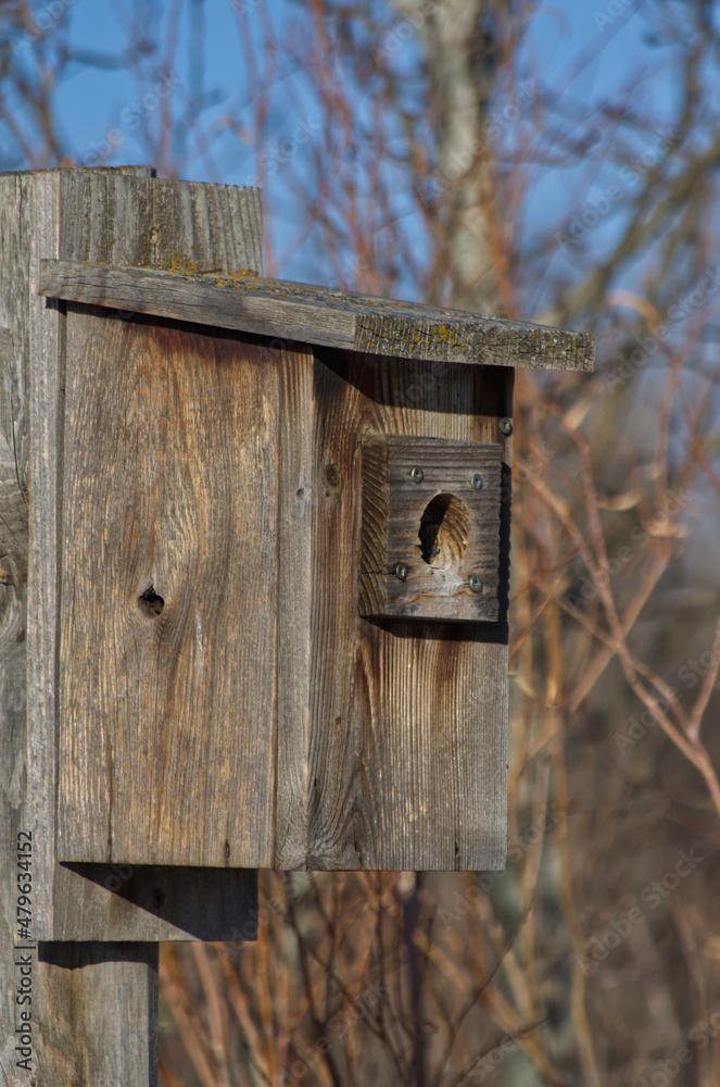 A Birdhouse for Tree Swallows