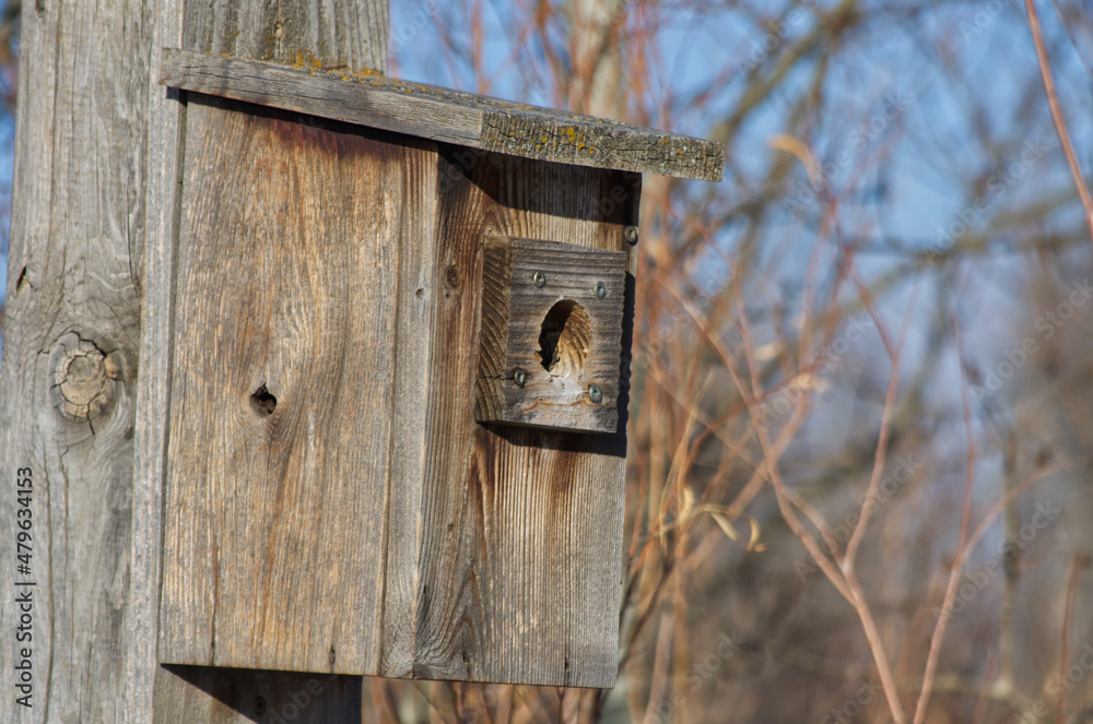 A Birdhouse for Tree Swallows