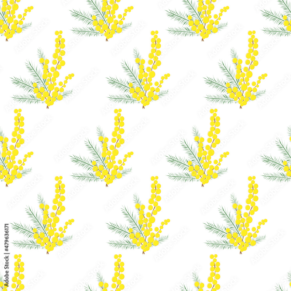 Seamless pattern mimosa sprigs on a white background
