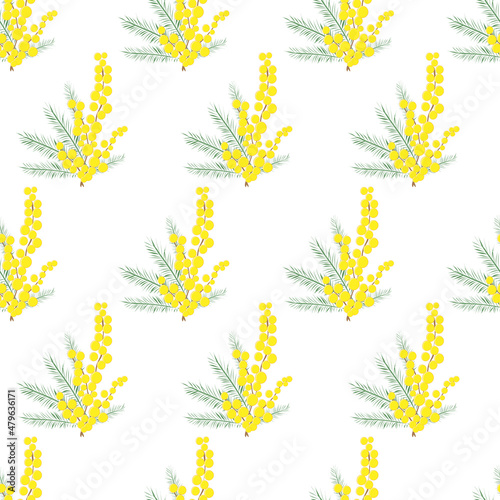 Obraz na płótnie Seamless pattern mimosa sprigs on a white background w salonie