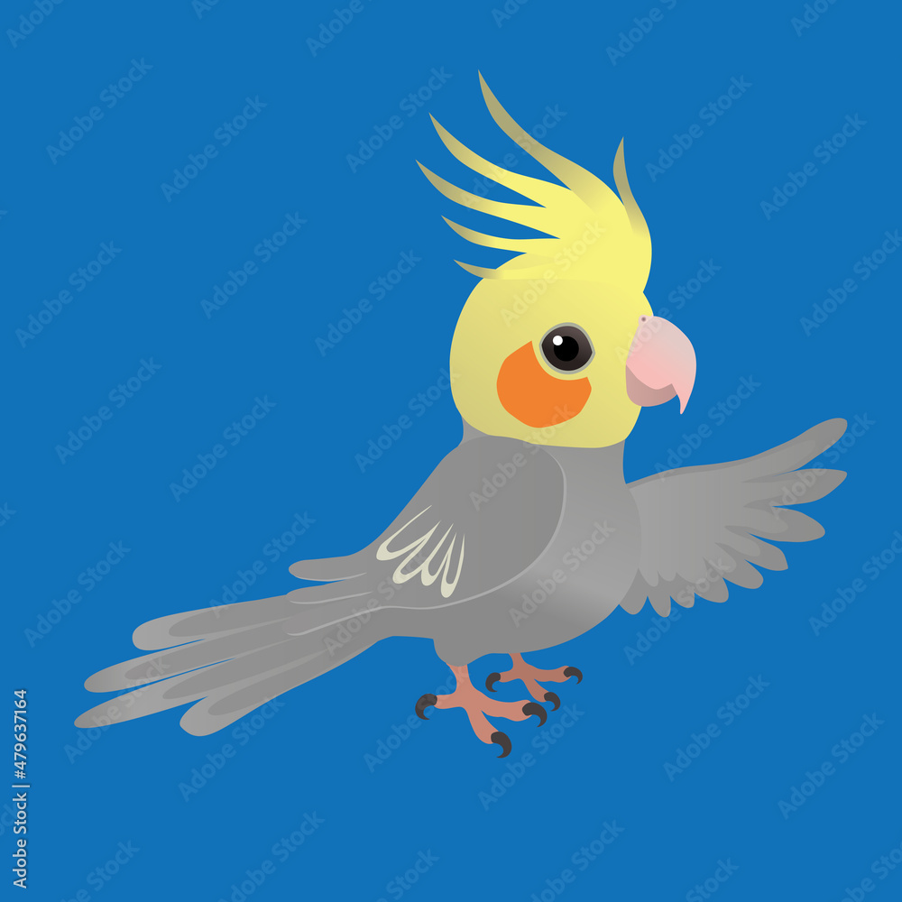 
An illustration of a cute male cockatiel, His crest is up and he looks friendly at you. His left wing is up as if he is showing you something. The background is blue.