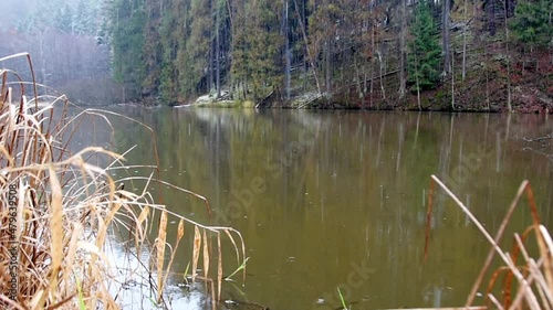 Waldsee Regen