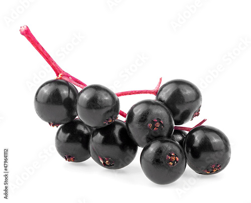 Sambucus - Ripe black elderberry with twig isolated on a white background. European black elder plant.