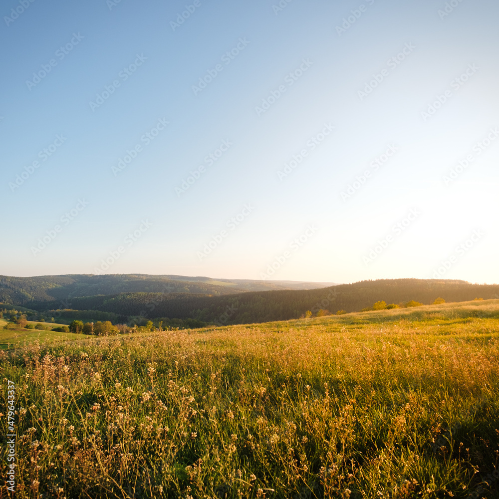 Hügelige Landschaft mit Feldern bei Sonnenuntergang bzw. Sonnenaufgang