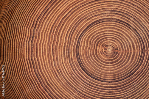 beautiful cut tree trunk with annual rings and cracks. wood texture background