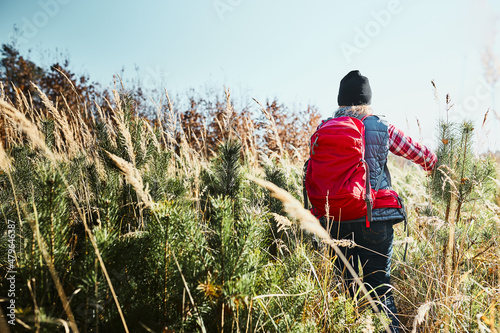 Rear view of young woman hiking on summer sunny day. Woman with backpack hiking through tall grass along path in mountains. Spending summer vacation close to nature