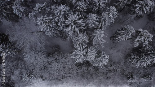 Aerial footage of winter landscape in a forrest. High quality 4k footage