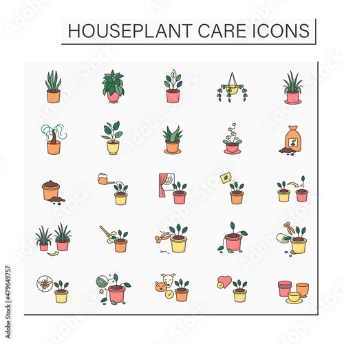 Houseplants care color icons set.Tropical plant interior decor. Beautiful home plant in hanging pot. Gardening concept.Isolated vector illustrations