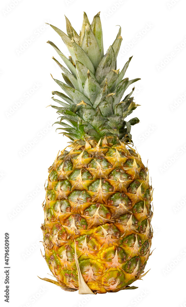 Pineapple on a white background. Isolated object. Tropical fruit. Pineapple on a white background. Isolated object. Tropical fruit.