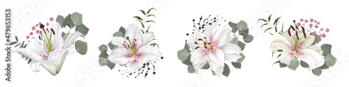 Vector flower set. White lilies, eucalyptus, pink gypsophila, green plants and leaves. Flowers on white background